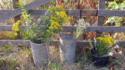 Breathing Spaces Community Flower Farm