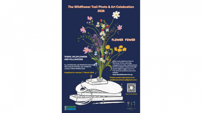 Art Celebration 2026 is NOW Open